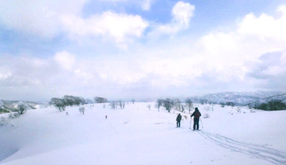 バターをのせたらまるでスイーツ！南瓜
