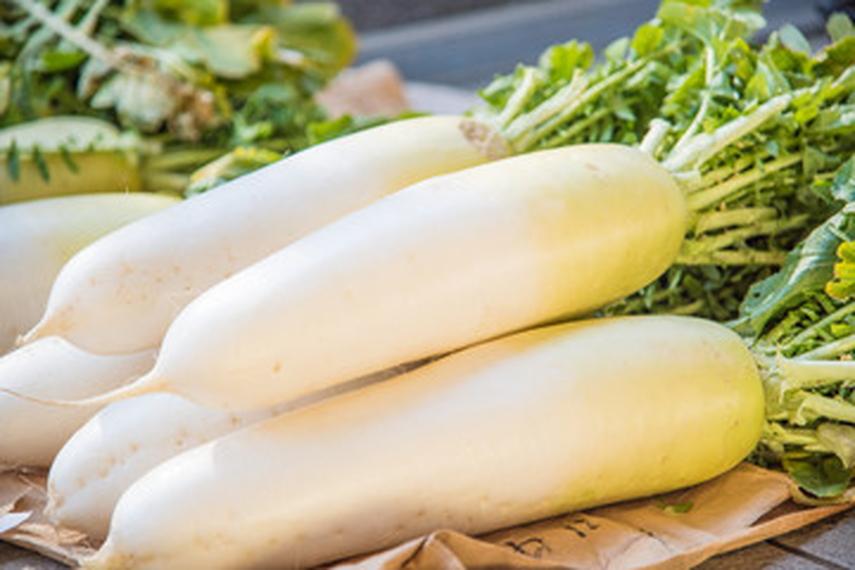 旨みたっぷり！有機栽培ジャガイモ