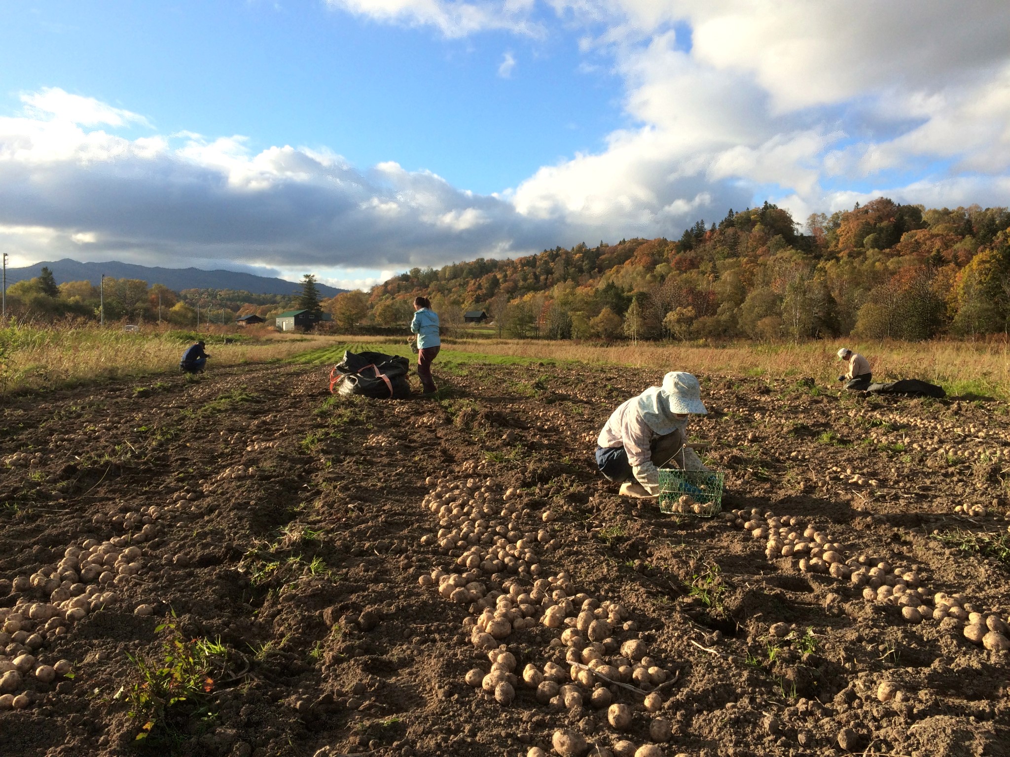 messageイメージ2