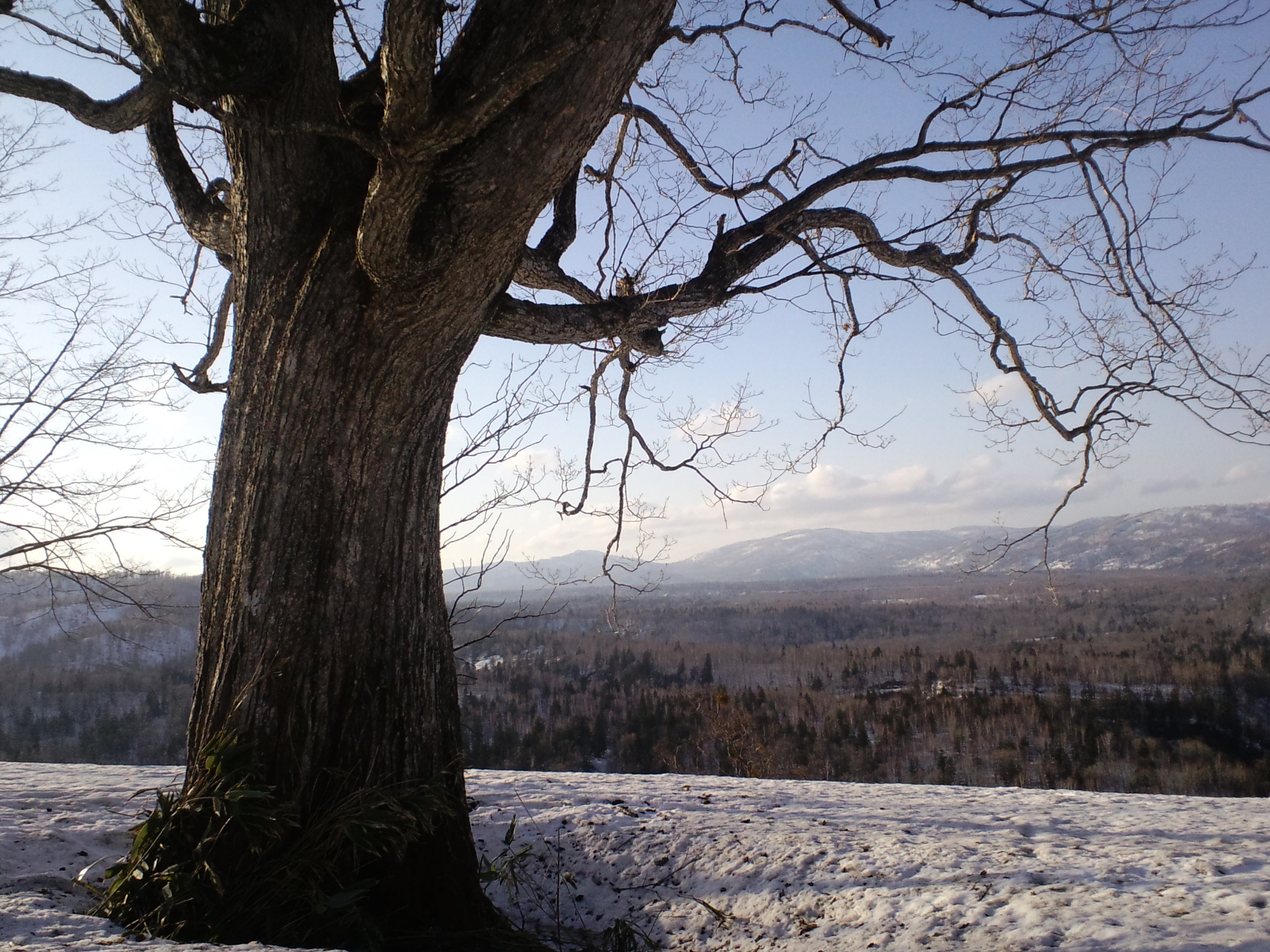 messageイメージ１